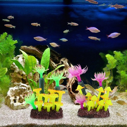 Pcs faux corail pour - 2,
