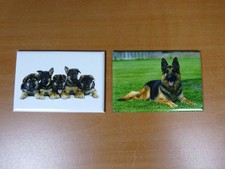 lot 2 Magnets / aimants 7,8 cm