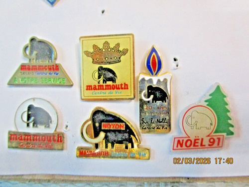 Pin mammouth lot de - /,