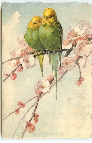 Illustrator klein two - illustrator,
