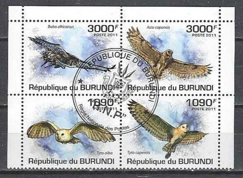 Animaux oiseaux hiboux burundi - animaux,