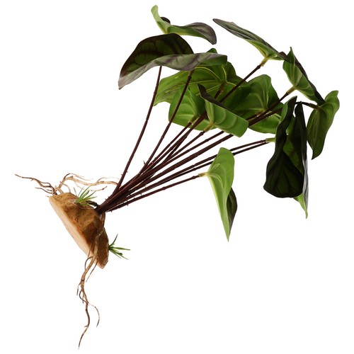 Reptile terrarium decor - reptile,