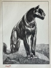 Paul JOUVE Animal Engraving Lithograph ART DECO Black Panther Black Panther