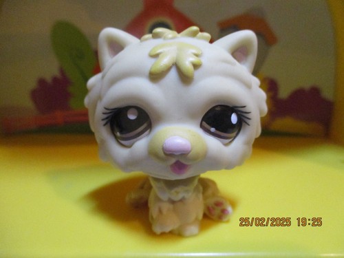 Petshop chien chow - chien, #1058