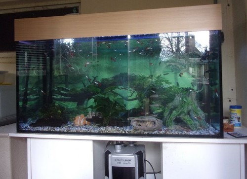 Aquarium 200 litres complet