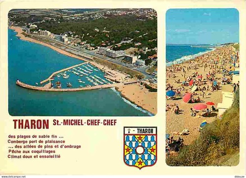 Postcard tharon plage - -, 44