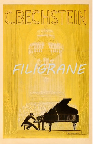Bechstein pianiste rlmn - pianiste,