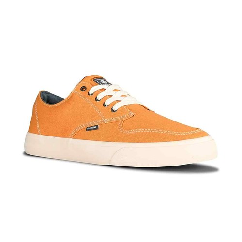 Chaussures skate element - skate,