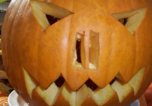 Citrouille halloween - citrouille, 'halloween'