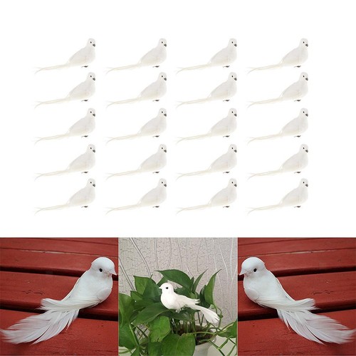 20pcs mousse plumes - de,