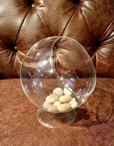 Glass terrarium vase air - glass,