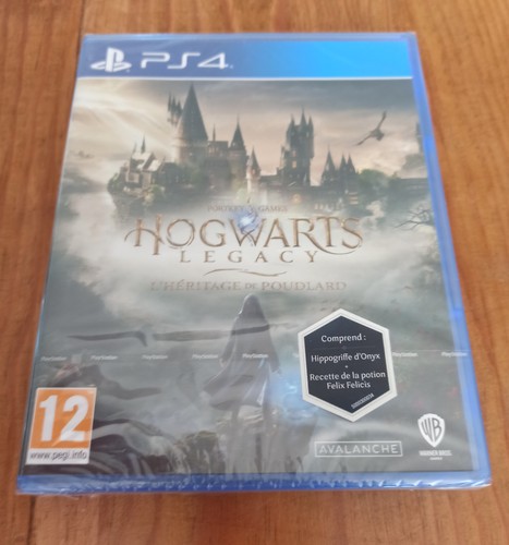 Hogwarts legacy ps4 - hogwarts,