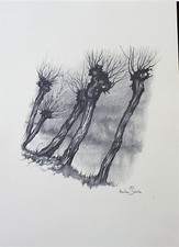 N°5 / PLANCHE DESSIN