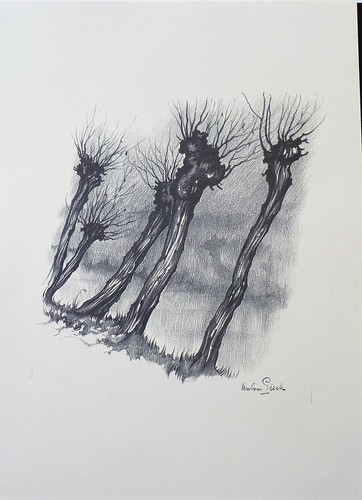 Planche dessin - /,