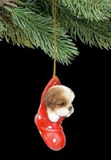 Noël Chien - Shih Tzu Dans Chaussettes - Mignon Chiot Décoration de Noël