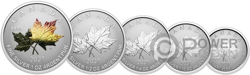 Maple leaf set monnaie - maple,
