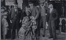 Zoo humain, Exposition