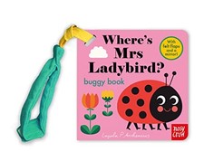 Where's Mrs Ladybird Felt