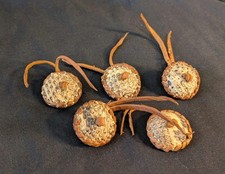 5 Antique Collectible Buttons, Snakeskin and Leather, 2.6cm, Handcrafted