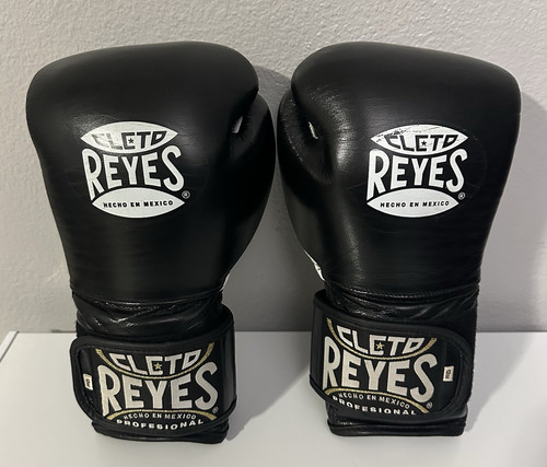 Cleto reyes sparring - cleto,
