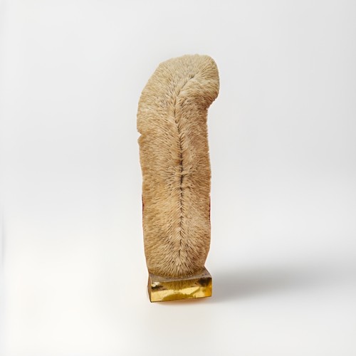 Sculpture corail veritable - corail,