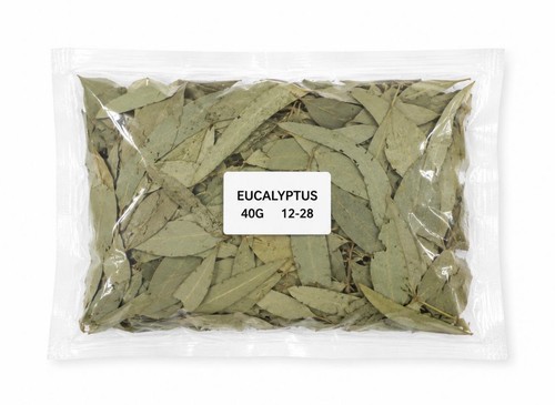 Feuille eucalyptus séchée - feuille,