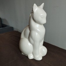 TRES BEAU CHAT TOUT EN