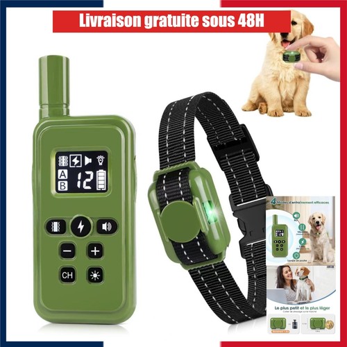 Collier dressage chien