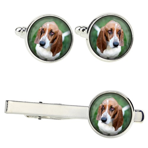 Ensemble basset hound avec - avec, des