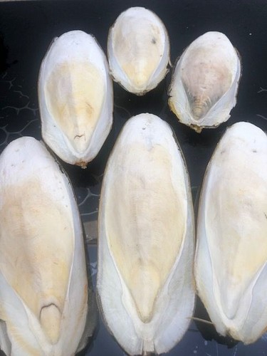 2kg très belles - et, grandes