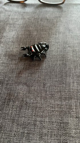 Crustacé scorpion noir - ou,
