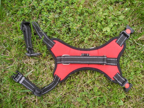 Harnais pour chien - t, m