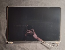 Écran Complet MacBook Pro 15" Retina A1398 Fin 2013 Mi 2014 - Grade B