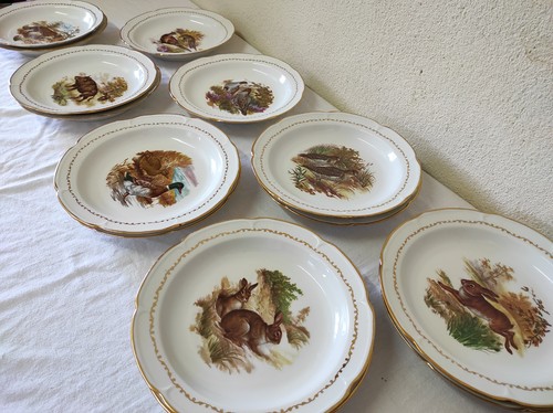 Assiettes creuses - 14,