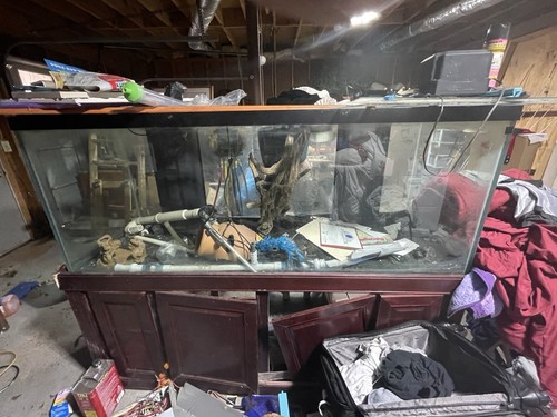 Fish tank aquarium - tank,