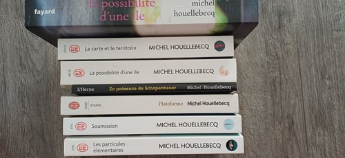 Livres michel houellebecq - livres,