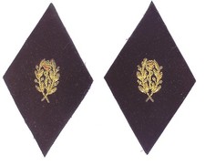 OFFICER DENTIST Pair of Eagle Collar Jacket Badges 39-40 - Plum Velvet