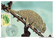 AUXP3-0140-ANIMAUX-CARTE-MAXIM