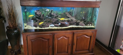 Aquarium complet 600l avec - 600l,