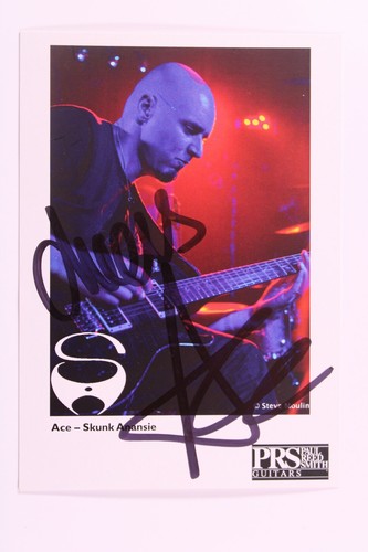 Ace skunk anansie - skunk, photo
