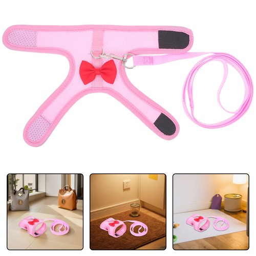 Lapin accessoires laisse - lapin, de