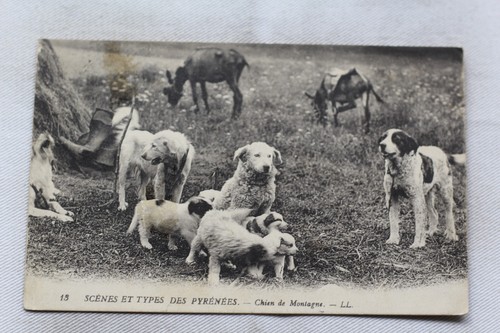Old postcard 1922 - ,, mountain