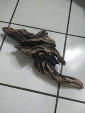 Bois flotte 56 cm x 28 cm.Dune