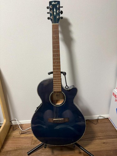 Guitare acoustique électrique