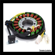 Stator Allumage pour Hyosung