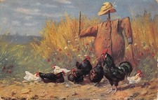 Postcard fantasy / chickens and fan