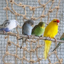  Corde Escalade Filet D'escalade Pour Oiseaux Grand Perroquet Jouet Swing