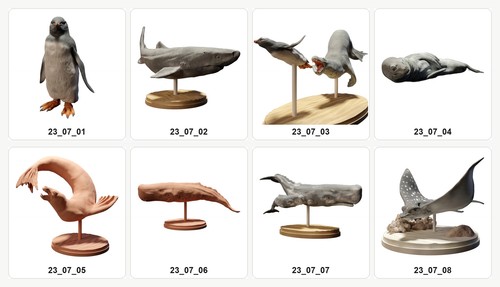 Animaux arctique 43 - de, 1:43