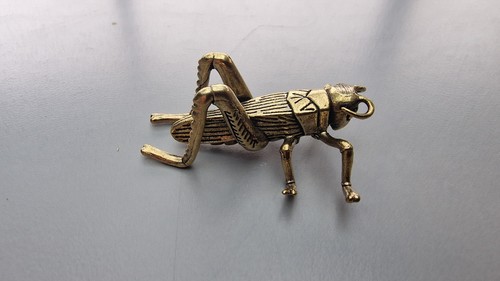 Insecte grillon sauterelle - insecte,