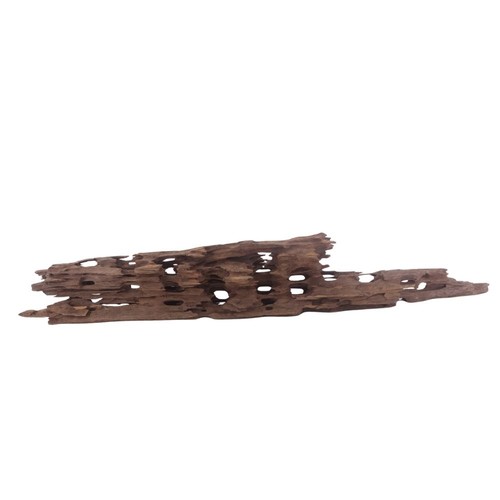Honey peigne racine 3046 - xl,